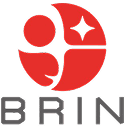 BRIN